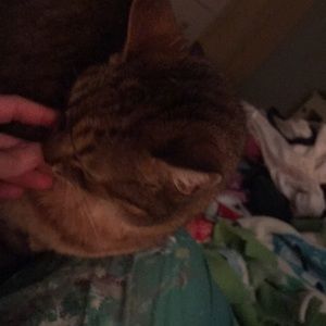 Meet your Posher, Tracy